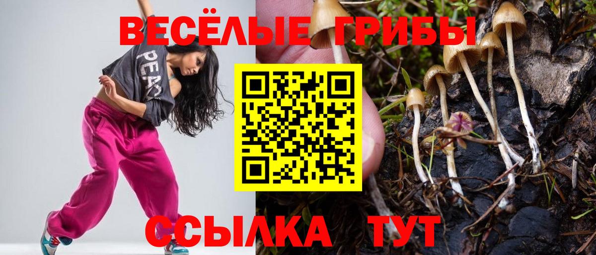 Галлюциногенные грибы Cubensis Севастополь